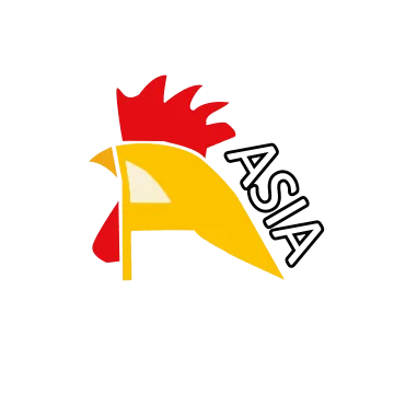 Asian chicken